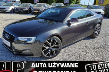 2.0 TDI 178kM Klima Bi-Xenon Serwis Grzane Fotele GWARANCJA